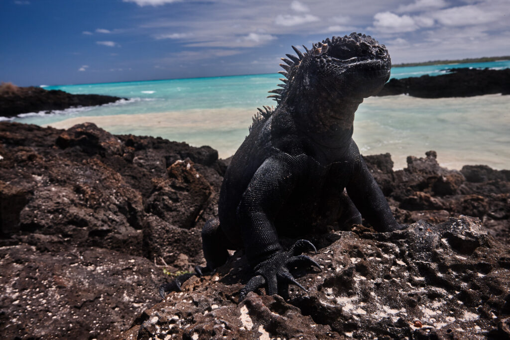 The Other Side of Galapagos (5D/4N) – Destination Ecuador